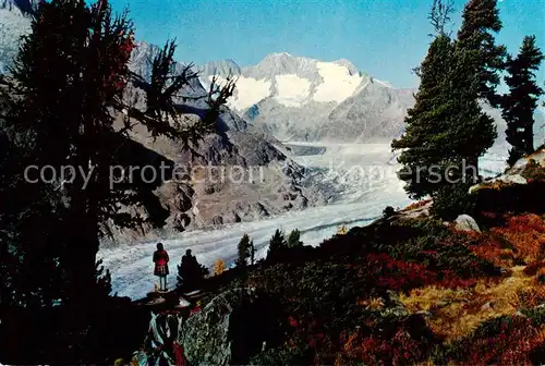 AK / Ansichtskarte  Gletscher Aletschwald Schoenbuehlhorn Wannenhorn 