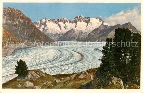 AK / Ansichtskarte  Verlag_Gyger_E._Adelboden_Nr. A.12339 Aletschwald Walliser-Fiescherhoerner 