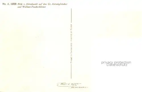 AK / Ansichtskarte  Verlag_Gyger_E._Adelboden_Nr. A.12339 Aletschwald Walliser-Fiescherhoerner 