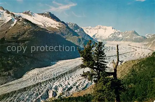 AK / Ansichtskarte  Gletscher Wallis Aletschgletscher 