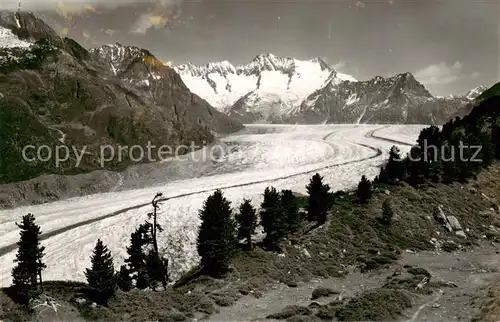 AK / Ansichtskarte  Verlag_Gyger_E._Adelboden_Nr. 4912 Arven Moeraene 