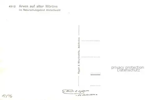 AK / Ansichtskarte  Verlag_Gyger_E._Adelboden_Nr. 4912 Arven Moeraene 