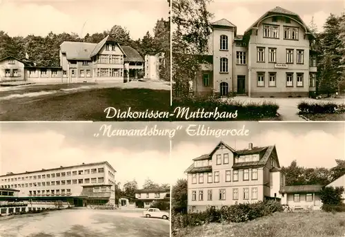 AK / Ansichtskarte  Elbingerode_Harz Diakonissen Mutterhaus Neuvandsburg Details Elbingerode Harz