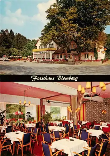 AK / Ansichtskarte  Blomberg_Lippe Forsthaus Blomberg Gastraum Blomberg Lippe
