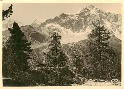 AK / Ansichtskarte  Gruppo_dell_Ortler Panorama dell Ortler dal Val di Zei Gruppo_dell_Ortler