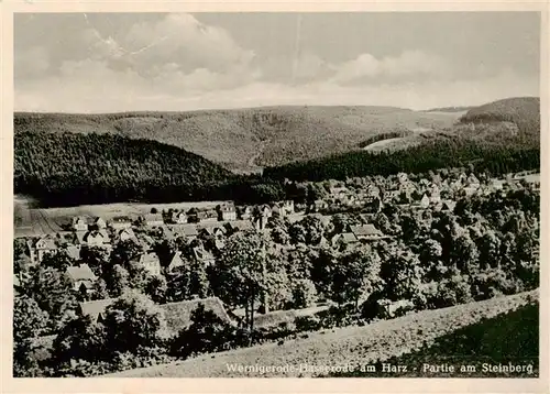 AK / Ansichtskarte 73893158 Wernigerode_Harz Panorama Partie am Steinberg Wernigerode Harz