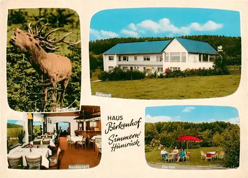 AK / Ansichtskarte  Simmern_Hunsrueck Hirsch Pension Haus Birkenhof Restaurant Garten Simmern Hunsrueck