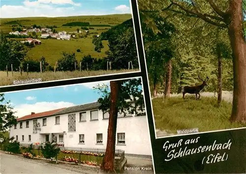 AK / Ansichtskarte 73893190 Schlausenbach Panorama Waldpartie Pension Krein Schlausenbach