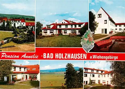 AK / Ansichtskarte 73893200 Bad_Holzhausen_Luebbecke_Preussisch_Oldendorf_NRW Pension Annelie Teilansichten 