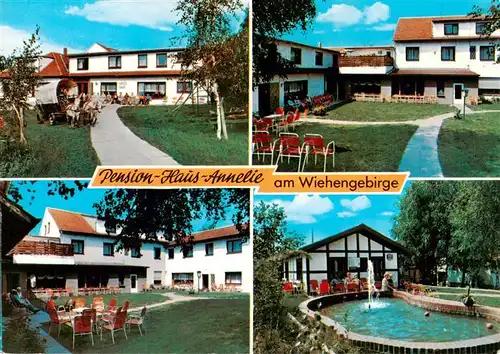 AK / Ansichtskarte  Bad_Holzhausen_Luebbecke_Preussisch_Oldendorf_NRW Pension Haus Annelie Liegewiese Pferdewagen Pool 