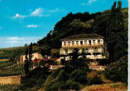 AK / Ansichtskarte  Ahrweiler_Ahr Hotel Hohenzollern Ahrweiler_Ahr