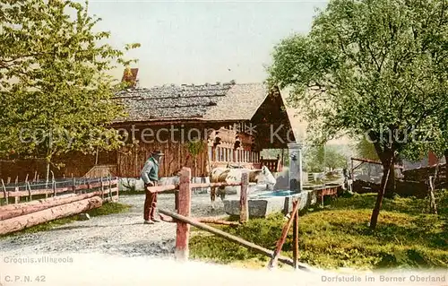 AK / Ansichtskarte  Bauernhof Berner Oberland 