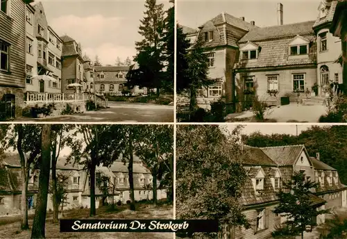 AK / Ansichtskarte 73893430 Friedrichsbrunn_Harz Sanatorium Dr Strokorb Details Friedrichsbrunn Harz