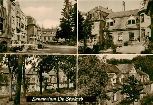 AK / Ansichtskarte  Friedrichsbrunn_Harz Sanatorium Dr Strokorb Details Friedrichsbrunn Harz