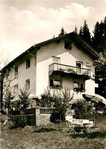 AK / Ansichtskarte  Regenhuette_Bayerisch_Eisenstein Pension Haus Mariand'l Regenhuette_Bayerisch