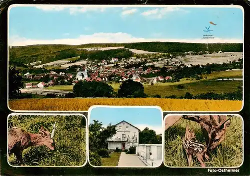 AK / Ansichtskarte  Geiselbach Panorama Pension Hubertus Rehwild mit Kitz Geiselbach