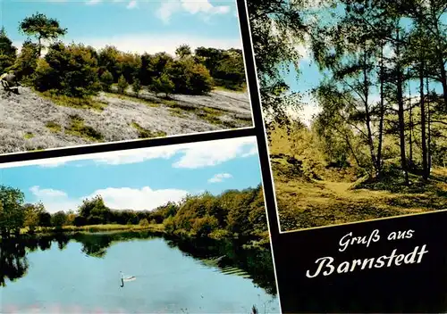 AK / Ansichtskarte  Barnstedt_Lueneburger_Heide Panorama Schwanenteich 