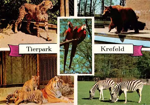 AK / Ansichtskarte 73893637 Krefeld_Crefeld Tierpark Krefeld Gepard Tiger Baeren Papageien Zebras 