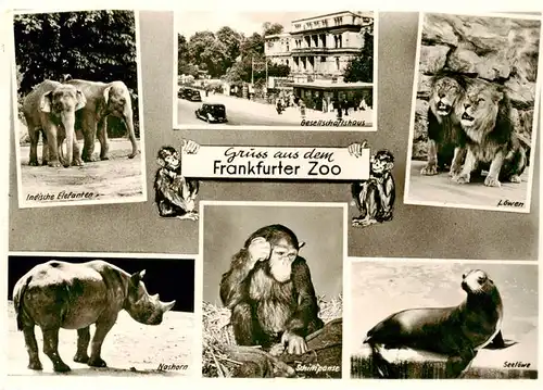 AK / Ansichtskarte  Zoo_Gardin_Zoologique-- Frankfurt am Main Frankfurter Zoo 