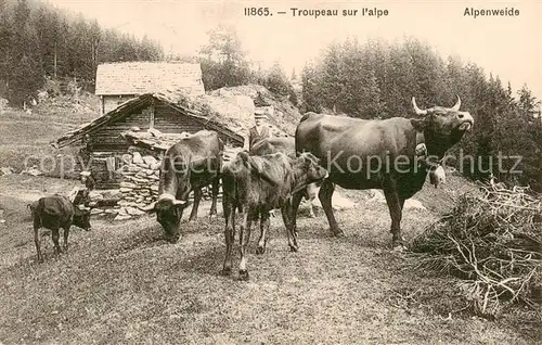 AK / Ansichtskarte 73893854 Landwirtschaft Troupeau sur l'Alpe 