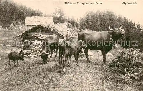 AK / Ansichtskarte  Landwirtschaft Troupeau sur l'Alpe 