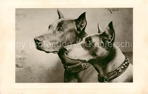 AK / Ansichtskarte 73893877 Hunde_dogs_chiens C.Reichert 
