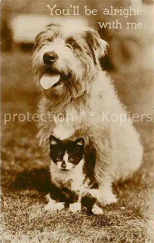 AK / Ansichtskarte 73893889 Tiere Hund Katze You´ll be alright with me 