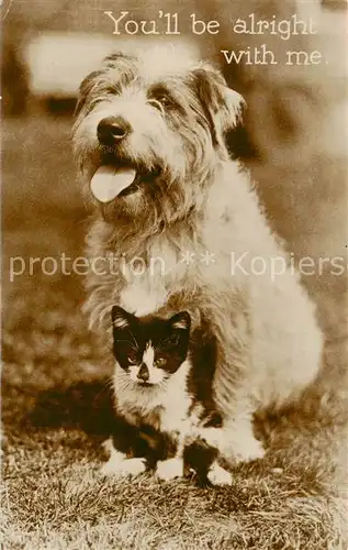 AK / Ansichtskarte  Tiere Hund Katze You´ll be alright with me 