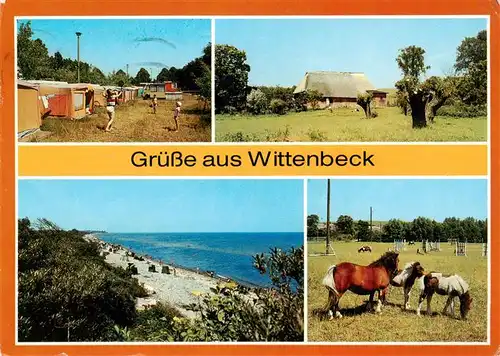 AK / Ansichtskarte 73893949 Wittenbeck Campingplatz Ortsmotiv Strand Ponys Wittenbeck