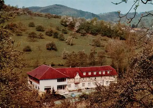 AK / Ansichtskarte  Winkel_Odenwald Restaurant Cafe Pension Zum Wiesengrund Winkel Odenwald