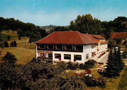 AK / Ansichtskarte  Winkel_Odenwald Restaurant Cafe Pension Gaestehaus Zum Wiesengrund Winkel Odenwald