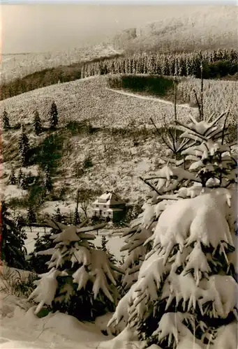 AK / Ansichtskarte  Liesen_Hallenberg_Hochsauerland Pension Am Steinschab Winterpanorama 