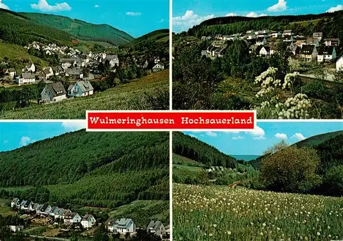 AK / Ansichtskarte  Wulmeringhausen_Olsberg Panorama Landschaft 