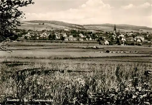 AK / Ansichtskarte  Neustadt_Sachsen Panorama Neustadt_Sachsen