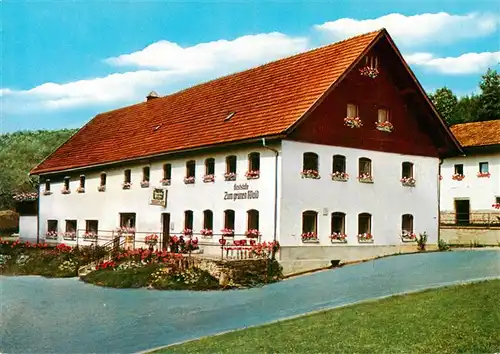 AK / Ansichtskarte  Eggersberg_Lohberg Gasthaus Zum gruenen Wald Eggersberg Lohberg