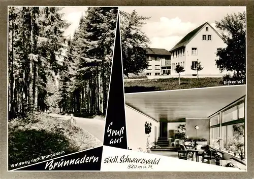 AK / Ansichtskarte  Brunnadern_Bonndorf_BW Waldweg Haus Birkenhof Halle 