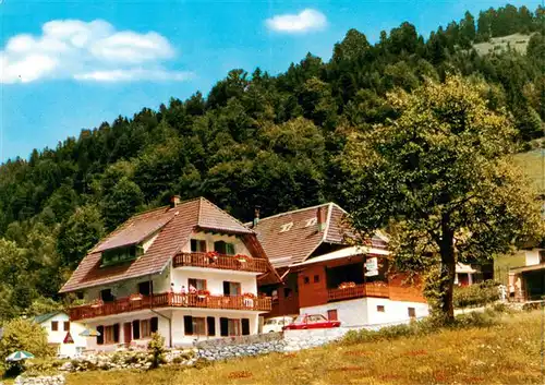 AK / Ansichtskarte  Glashuette_Todtmoos Gasthaus Pension Zum Wildbach Glashuette_Todtmoos