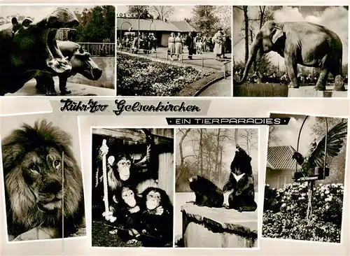 AK / Ansichtskarte  Zoo_Gardin_Zoologique-- Gelsenkirchen Tierparadies  