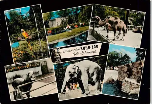 AK / Ansichtskarte  Zoo_Gardin_Zoologique-- Ruhr Zoo Gels.-Bismarck Gelsenkirchen  