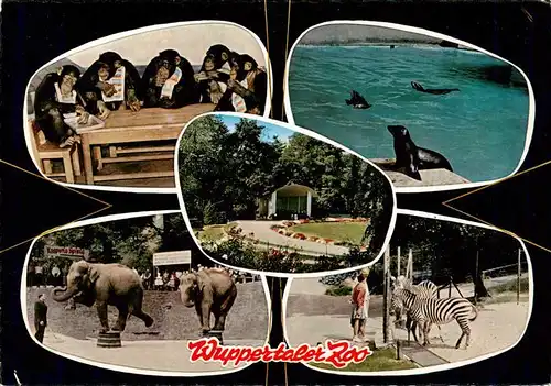 AK / Ansichtskarte  Zoo_Gardin_Zoologique-- Wuppertaler Zoo  