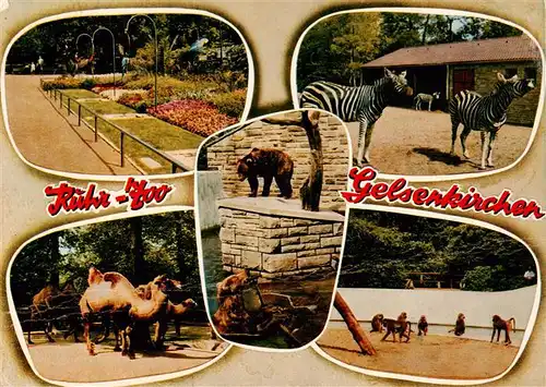 AK / Ansichtskarte  Zoo_Gardin_Zoologique-- Ruehr Zoo Gelsenkirchen  