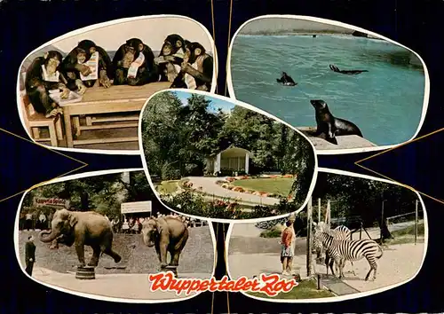 AK / Ansichtskarte  Zoo_Gardin_Zoologique-- Wuppertaler Zoo  