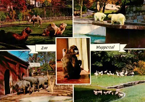 AK / Ansichtskarte  Zoo_Gardin_Zoologique-- Wuppertal Zoo  