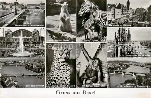 AK / Ansichtskarte  Zoo_Gardin_Zoologique-- Gruss aus Basel 