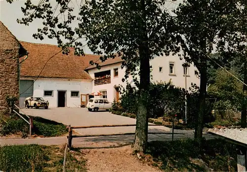 AK / Ansichtskarte  Falkenstein_Pfalz Pension Otto Schlaefer Falkenstein_Pfalz