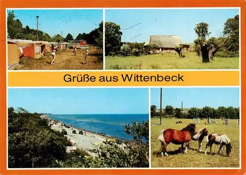AK / Ansichtskarte 73894840 Wittenbeck Campingplatz Ortsmotiv Strand Ponys Wittenbeck