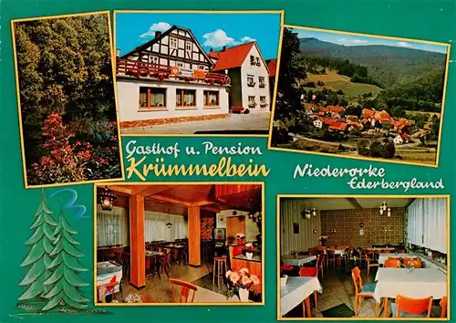 AK / Ansichtskarte  Niederorke Gasthof Pension Kruemmelbein Gastraeume Panorama Niederorke