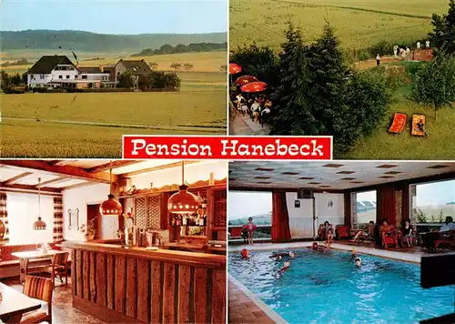 AK / Ansichtskarte  Wethen Pension Hanebeck Bar Hallenbad Liegewiese Wethen