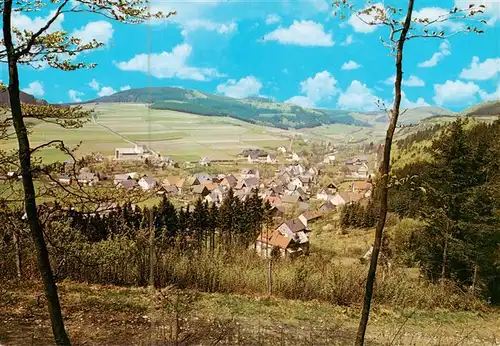 AK / Ansichtskarte 73894994 Liesen_Hallenberg_Hochsauerland Panorama 