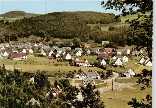 AK / Ansichtskarte 73894996 Liesen_Hallenberg_Hochsauerland Panorama Gasthof Pfaender 